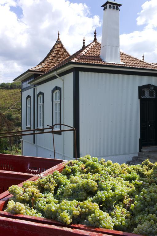 Casa De Cambres Guest House Lamego Exterior photo